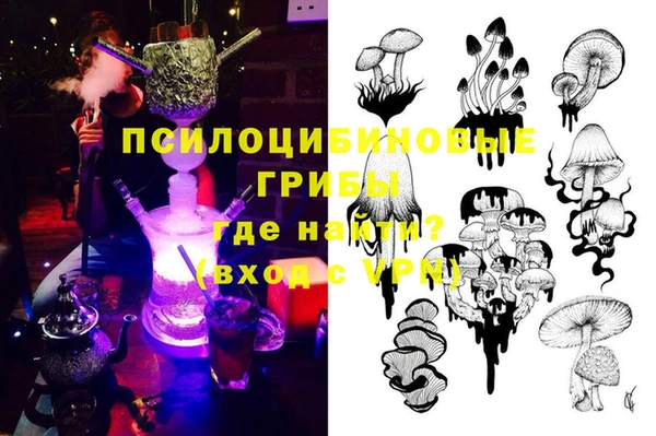 шишки Алексеевка